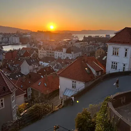 Y - Great View And Secret Garden Bergen
