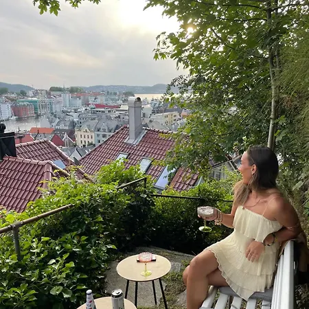 Y - Great View And Secret Garden Apartamento Bergen